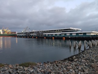 1562630558_img20190707201945.jpg